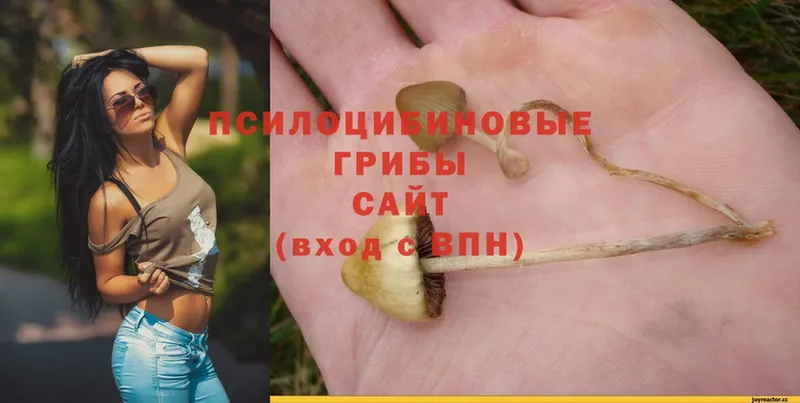 купить наркотик  Анива  это официальный сайт  Галлюциногенные грибы MAGIC MUSHROOMS 